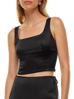 Wilfred Shine Bustier Top - NWT